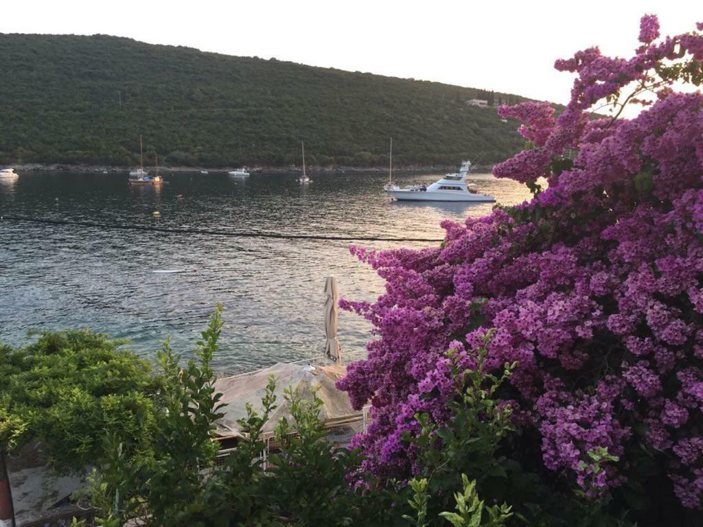 Waterfront Townhouse Sunset View With Garage Apartment บิโกโว ภายนอก รูปภาพ